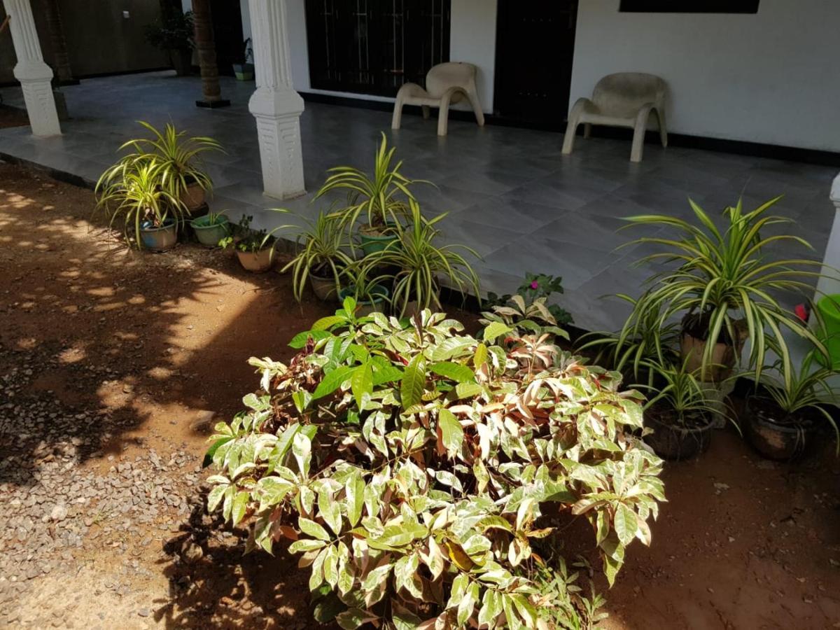 Jungle Reef Rest Mirissa Exterior foto