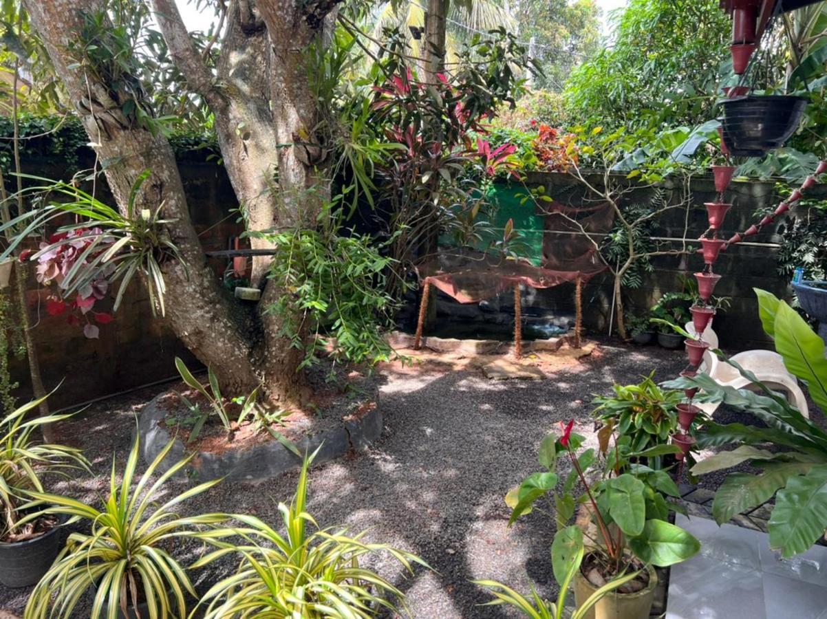 Jungle Reef Rest Mirissa Exterior foto